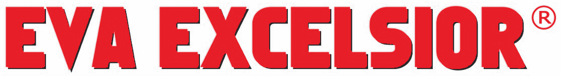 EVA-EXCELSIOR SOLUTIONS PVT LTD